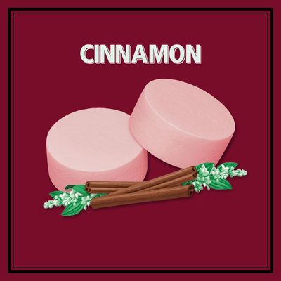 ALTOIDS Cinnamon Mints, 1.76 Oz (Pack of 12)