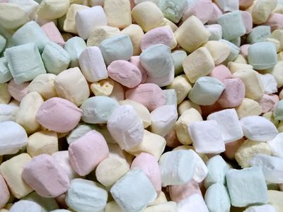Pastel Party Mints 1.5 lbs - Perfect for After Dinner Fresh Delicious Bulk Candy Green Pink Yellow White