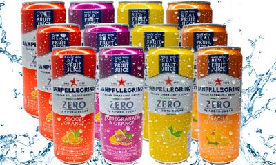 Niro Assortment | San Pellegrino Italian Sparkling Drinks | Zero Sugar | 12 Pack Variety of 4 Assorted Flavors | Niro Neoprene Sleeve Included