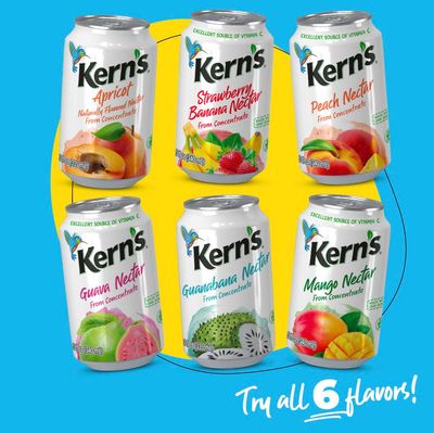 Kern's Apricot Nectar 11.3 Fl oz (24-Pack)
