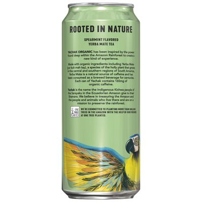 Yachak Yerba Mate Drink, Ultimate Mint, Packaging May Vary, 16 Fl Oz, Pack of 12