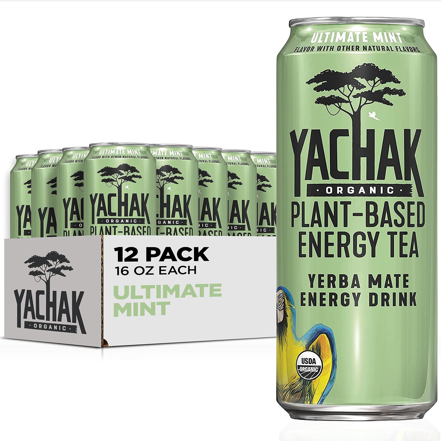 Yachak Yerba Mate Drink, Ultimate Mint, Packaging May Vary, 16 Fl Oz, Pack of 12