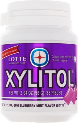 Lotte Xylitol Blueberry Mint Gum 2.04 OZ (Pack of 1)