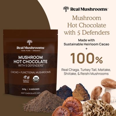 Real Mushrooms Organic Hot Chocolate Mix with 5 Defenders (Turkey Tail, Chaga, Maitake, Shiitake, &amp; Reishi Mushroom) - Organic Cacao Powder - Vegan Mushroom Supplement, Gluten-Free, 15 Servings