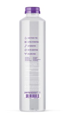 Penta Ultra-Purified Water, Oxygen Infused Natural pH Hydration, Solar-Powered 13 Step Purification Process, 33.8 Fl Oz (Pack of 12)