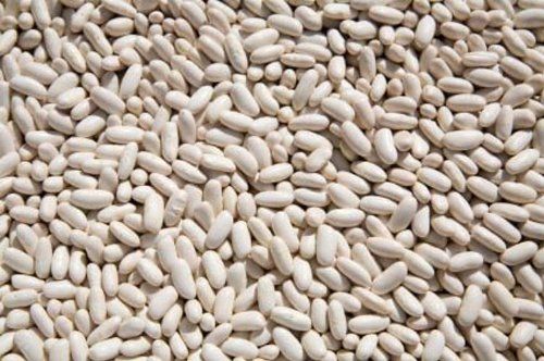 OliveNation Organic White Cannellini Beans, Dry White Kidney Beans, Non-GMO, Gluten Free, Vegan - 2 pounds