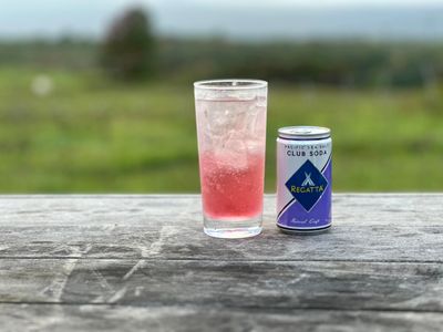Pacific Sea Salt Club Soda, Regatta Craft Mixers, Zero Calorie, Premium Cocktail Mixer, 7.5oz, Case of 24 Sleek Mini Cans