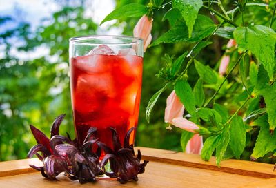 Karibbean Flavours Sorrel Hibiscus Concentrate | 750 Ml / 26 Fl Oz. | Makes Refreshing Cool Drink | Natural Vitamin C