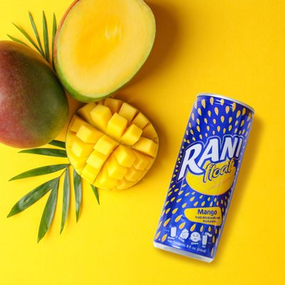 Rani Float Mango Fruit Juice Drink, 100% Fruit Juice Content with Real Mango Chunks, Imported from Dubai, No Added Sugar, No Artificial Colors, 8oz (Pack of 24)