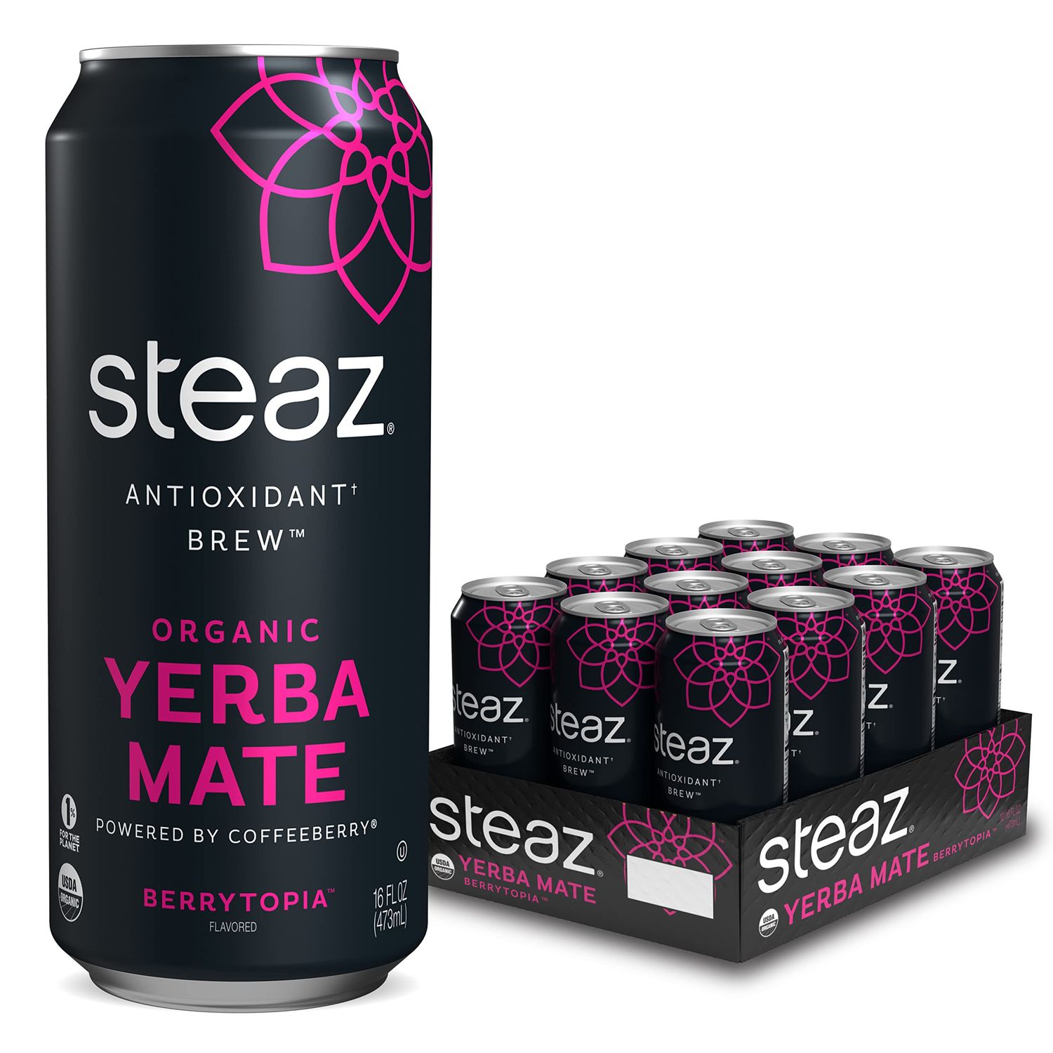 Steaz Antioxidant Brew Organic Yerba Mate Tea 16 oz Pack of 12 (Berrytopia)