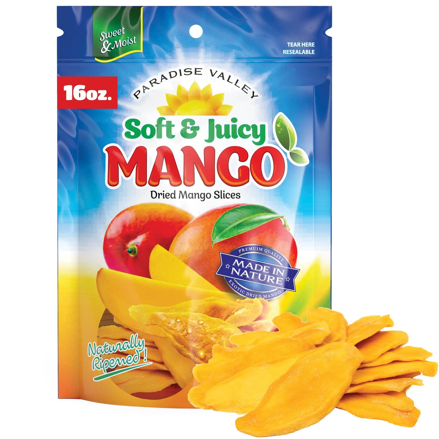 Dried Mango Slices - 16 Oz Dried Mango