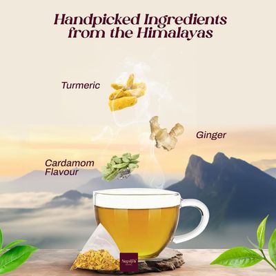 Organic Turmeric Ginger Herbal Tea 30 Count (Pack of 2) Pyramid Tea Bags from the Himalayas, Caffeine Free, Gluten Free, USDA Organic, warm and spicy Taste, biodegradable Tea Bags