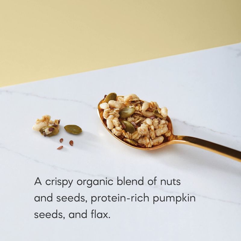 Nature's Path Organic Pumpkin Seed + Flax Granola, 24.7 oz (Pack of 1), Non-GMO