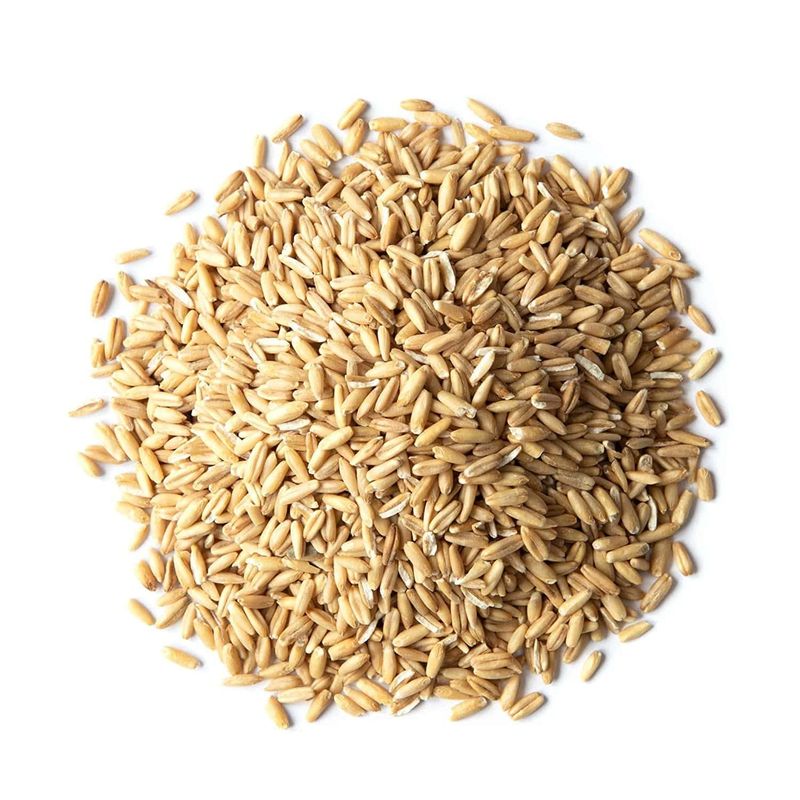 Food to Live Organic Oat Groats, 1 Pound - 100% Whole Grain, Non-GMO Seeds, Kosher, Raw, Non-Irradiated, Vegan, Bulk, Low Glycemic, Rich in Protein, Fiber, Copper and Manganese