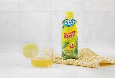 Cool Taste Calamansi PET Fruit Juice Drink Philippine Lemon Pack of 12 355ml