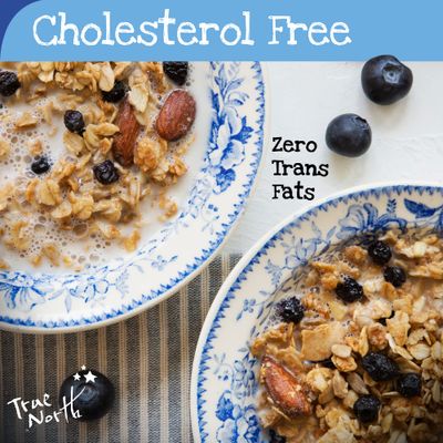 True North Granola - Granola Blues with Dried Blueberries, Almonds and Cashews, All Natural and Non-GMO, Bulk Bag, 3 lb.