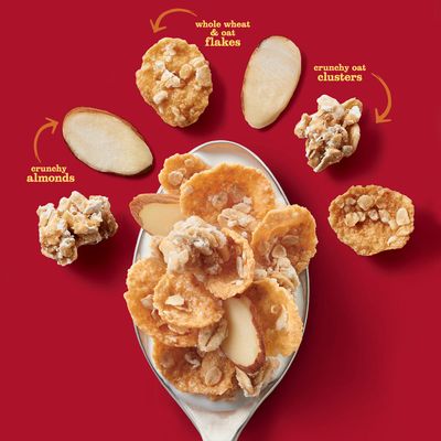 Raisin Nut Bran Oatmeal Crisp Breakfast Cereal, 19.7 oz (Pack of 6)