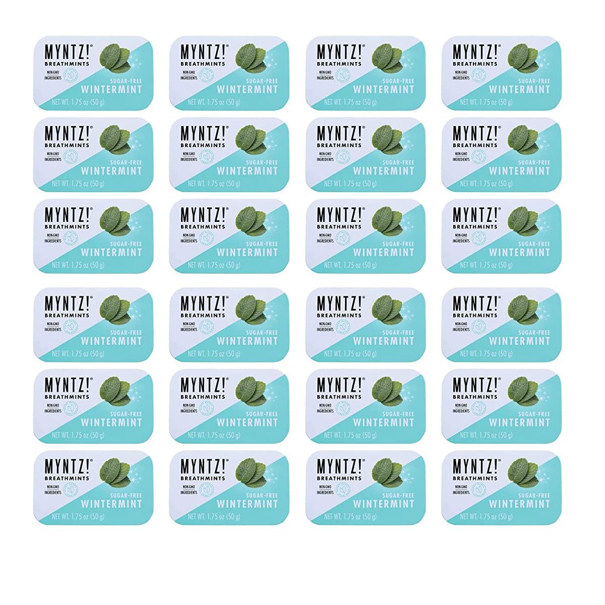 Myntz Blast Breathmints, Sugar Free 1.75-Ounce Containers (Wintermynt, 48 Pack)