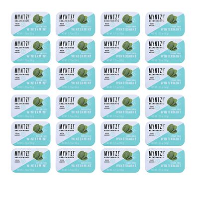 Myntz Blast Breathmints, Sugar Free 1.75-Ounce Containers (Wintermynt, 48 Pack)