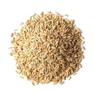 Food to Live Organic Oat Groats, 3 Pounds - 100% Whole Grain, Non-GMO Seeds, Kosher, Raw, Non-Irradiated, Vegan, Bulk, Low Glycemic, Rich in Protein, Fiber, Copper and Manganese