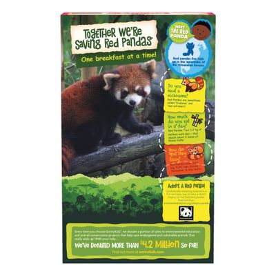 EnviroKidz Organic Red Panda Puffs Cereal, 10 oz (Pack of 1), Peanut Butter &amp; Strawberry, Gluten Free, Non-GMO, by Nature's Path
