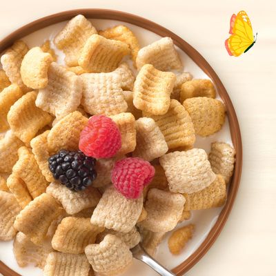 Cascadian Farm Organic Gluten Free Honey Vanilla Crunch Cereal, 10.5 oz.