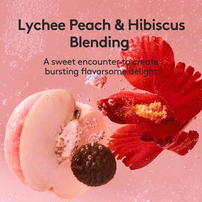 Osulloc Kombucha Tea LycheePeach (Lychee & Peach Blending), Electrolytes powder & Hydration drinks packets, No added sugar, 10 Sticks, 1.76oz