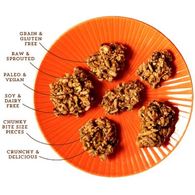 Lark Ellen Farm Berrylicious Granola Clusters: Raw, Organic, Vegan. Low Carb, Paleo. Gluten-Free Bites. Healthy Breakfast/Snack. 8 oz, 6 Pack