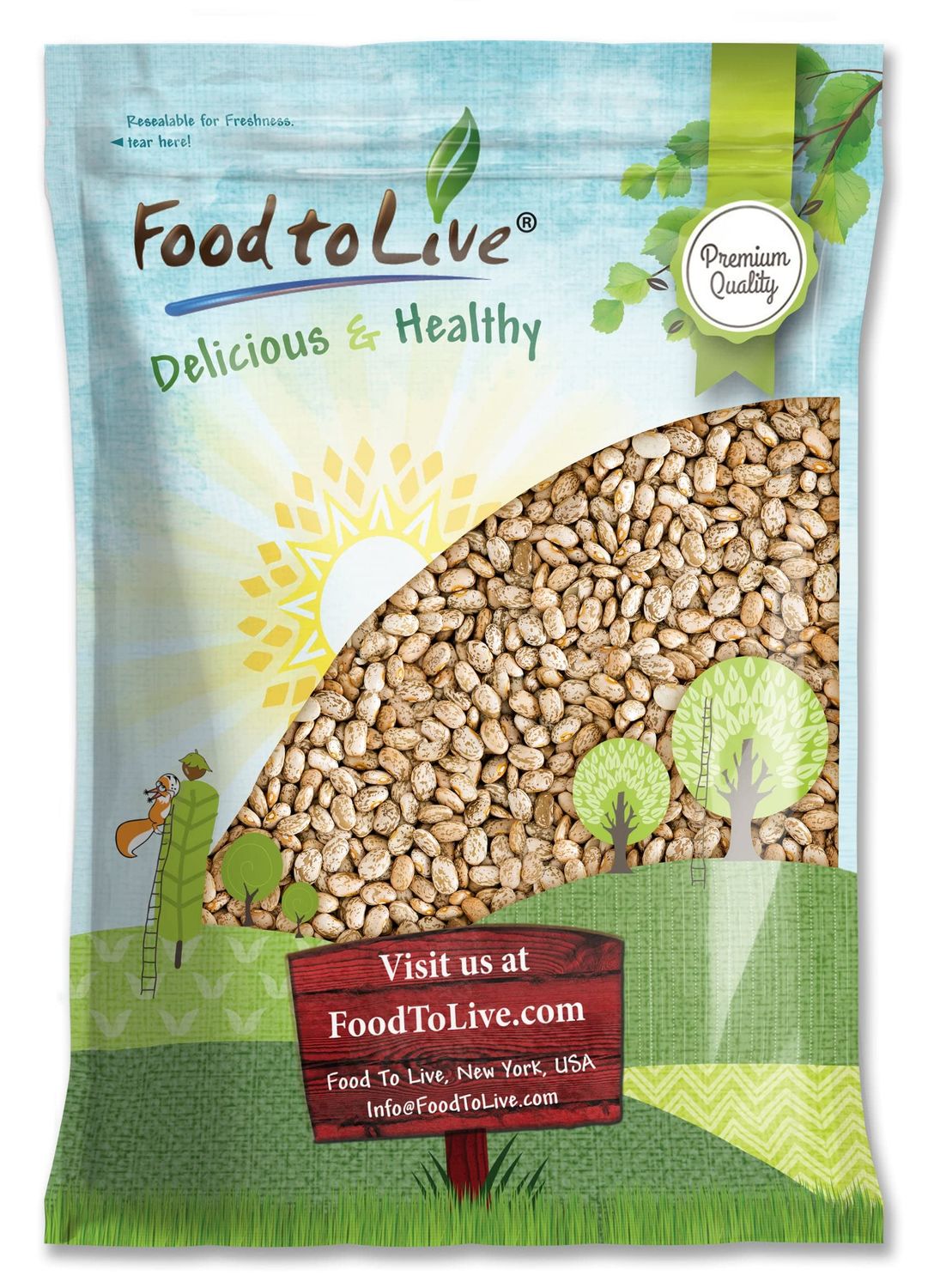 Food to Live Pinto Beans, 10 Pounds Dried, Sproutable, Vegan, Kosher, Bulk Frijol Seeds. Good Source of Protein, Folate, Copper, Thiamin. Low Sodium, Low Fat. Great for Soups, Chili, Stews.