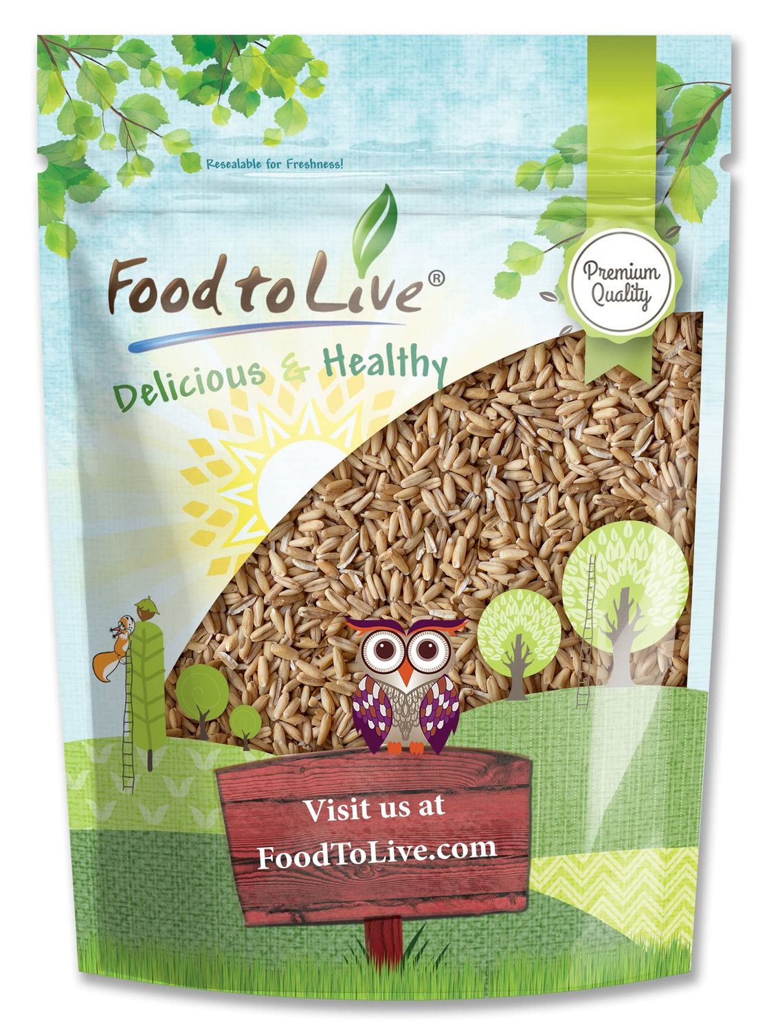 Food to Live Whole Grain Oat Groats - Oat Berries in Bulk. Kosher Hulless Seeds, Rich in Protein, Soluble Fiber. Suited for Grinding. Great for Hot Cereal, Salads, and Stews. Vegan Hulled Kernels