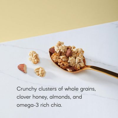 Nature's Path Organic Honey Almond Granola, 11 oz (Pack of 1), Gluten Free, Non-GMO