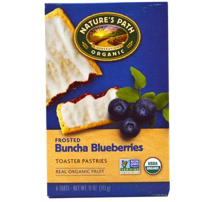 Nature&#39;s Path Organic Toaster Pastries Blueberry Frosted -- 11 oz