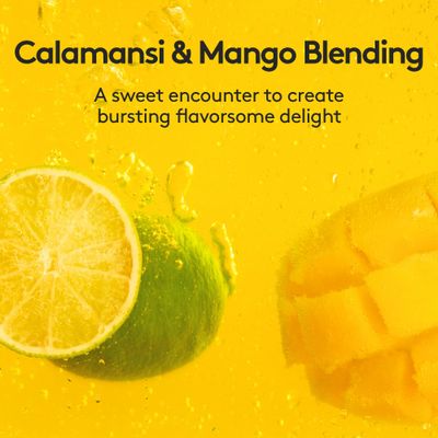 Osulloc Kombucha Tea Calamango (Calamansi & Mango Blending), Electrolytes powder & Hydration Drinks packets, No added sugar, 10 Sticks, 1.76oz