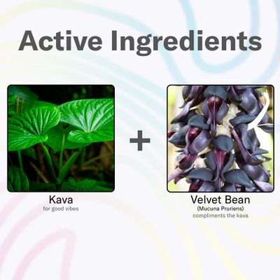 Good Mood Mix - Fruit Punch - Powder Packets - Calming Kava Drink Mix - Easy Open Single-Serving - Flavored Kava Powder - Mucuna Pruriens - Stevia - Non Alcoholic Adaptogen Mocktails - 14 Stick