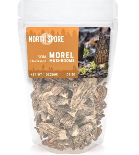 North Spore Dried Wild Morel Mushrooms 28 grams
