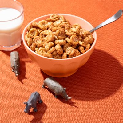 EnviroKidz Organic Rhino Rolls Cereal, 9.5 oz (Pack of 1), Cinnamon Bun, Gluten Free, Non-GMO, by Nature's Path