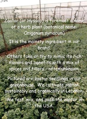 Zaatar by Tyme Foods - with Genuine Hyssop Herb (Origanum syriacum) - Real Za'atar Seasoning
