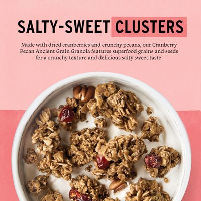 Purely Elizabeth Ancient Grain Granola, Certified Gluten-free, Vegan &amp; Non-GMO | Coconut Sugar | Delicious Healthy Snack | Cranberry Pecan | 12oz