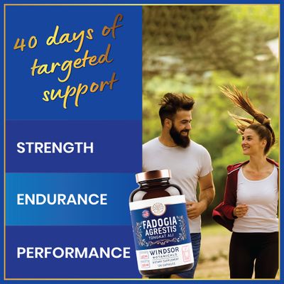 Fadogia Agrestis and Tongkat Ali Supplement - Fadogia Agrestis 600mg, 500mg Longjack Tongkat Ali for Men, Maca Root, Fenugreek, Ashwagandha, Saw Palmetto to Support Energy, Stamina, Vitality - 120Caps