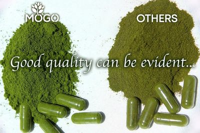 MOGO Organic Moringa Powder Capsules,180 Ct | Moringa Supplement for Energy, Immunity & Joint Health, Our Moringa Capsule Made with Pure Moringa Powder Organic,Vegan and Non GMO.