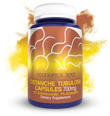 Nootropics Depot Cistanche tubulosa Capsules | 700mg | 5% Echinacoside + 1% Verbascoside (Acetoside) | 60 Count