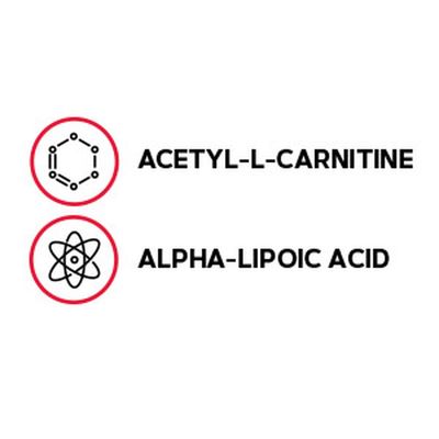 GNC Acetyl-L-Carnitine Alpha-Lipoic Acid 500mg / 200mg | Supports Positive Mood Balance | 60 Count