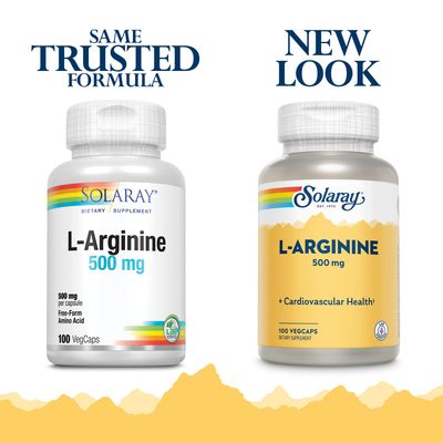 SOLARAY L-Arginine 500 mg, Nitric Oxide Supplement, Endurance, Energy, Heart Health Support, 100 Servings, 100 VegCaps