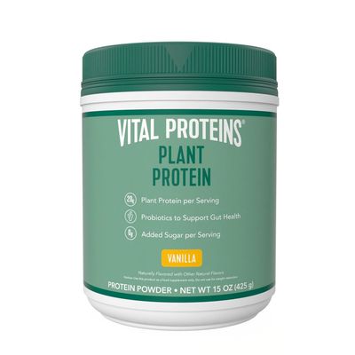 Vital Proteins Protein Powder - 20g Plant Based Protein with Chickpea - 1B CFU Probiotic for Gut Health, No Added Sugar - Vanilla, 15 oz