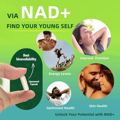 Renyqatt NAD+ Supplement - Liposomal Nicotinamide Riboside - Supplement for Anti-Aging, Energy, Focus - 80 Capsules1B