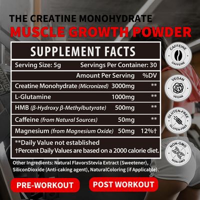 Creatine Monohydrate - Creatine Powder for Men - Creatine for Women - Creatine HMB - Micronized Creatine Powder - Creatine Glutamine| for Muscle Growth & Recovery| Creatine 3000mg Per Serv, Unflavored