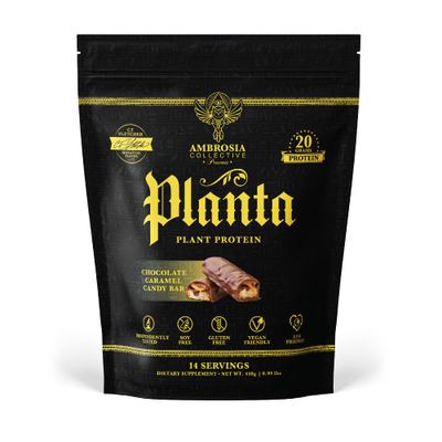 Ambrosia Planta - Premium Organic Plant-Based Protein | Vegan &amp; Keto Friendly | Gourmet Flavors with No Bloating or Stomach Upset | Gluten &amp; Soy Free | No Added Sugar | 14 Servings | (Candy Bar)