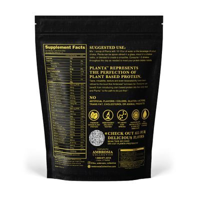 Ambrosia Planta - Premium Organic Plant-Based Protein | Vegan &amp; Keto Friendly | Gourmet Flavors with No Bloating or Stomach Upset | Gluten &amp; Soy Free | No Added Sugar | 14 Servings | (Candy Bar)