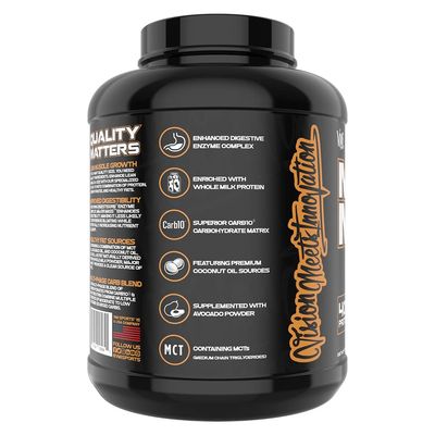 VMI Sports | Major Mass Lean Mass Gainer | Mass Gainer Protein Powder for Muscle Gain | Weight Gainer Protein Powder for Men | Weight Gainer for Women (Apple Pie, 4 Pounds)