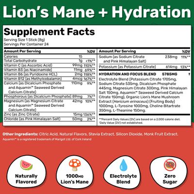 Fungies Electrolyte Drink Mix with Lion's Mane Mushroom & Essential Electrolytes, 24 Variety Pack - Sugar-Free Hydration Supplement Powder for Adults for Brain Health & Focus - Mushroom Supplement